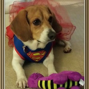 Meet your Posher, Melody